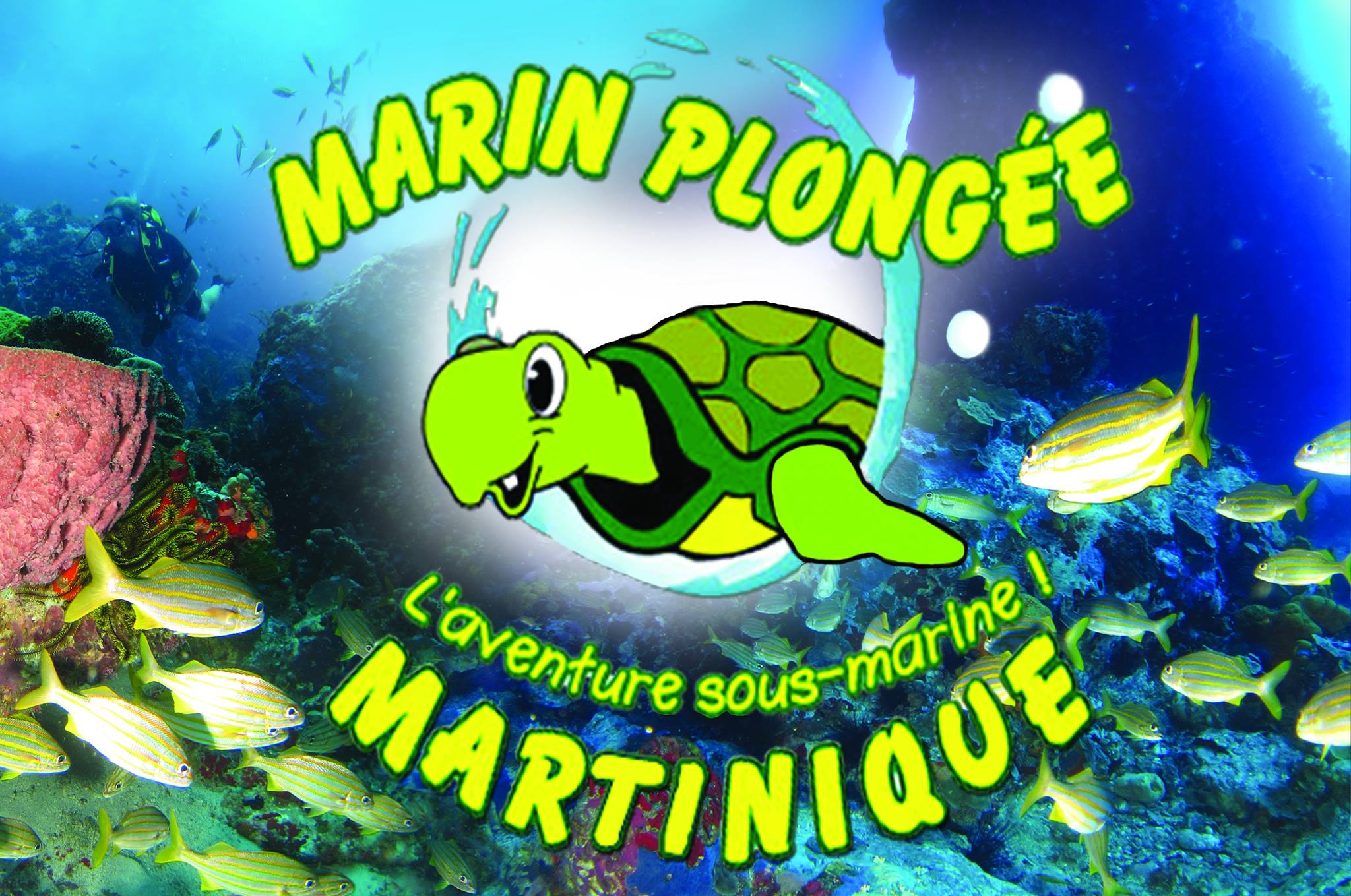 MARIN PLONGÉE